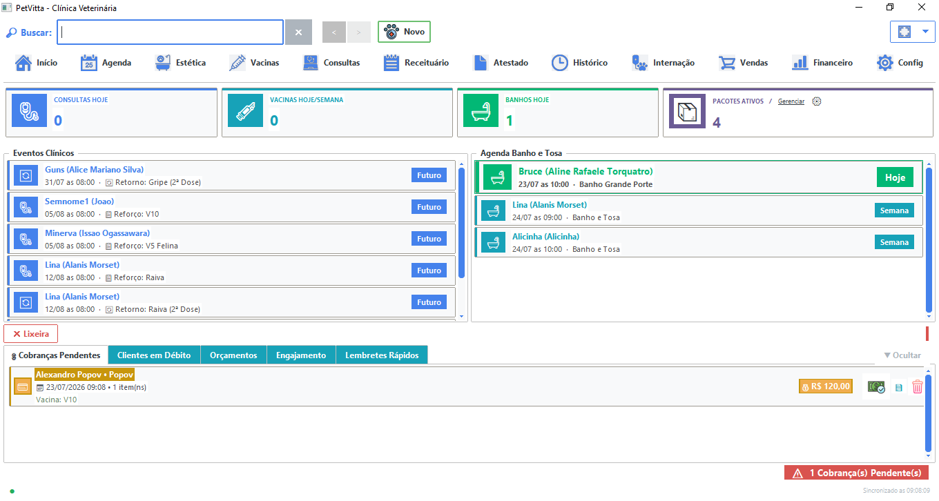 Dashboard PetVitta — Início